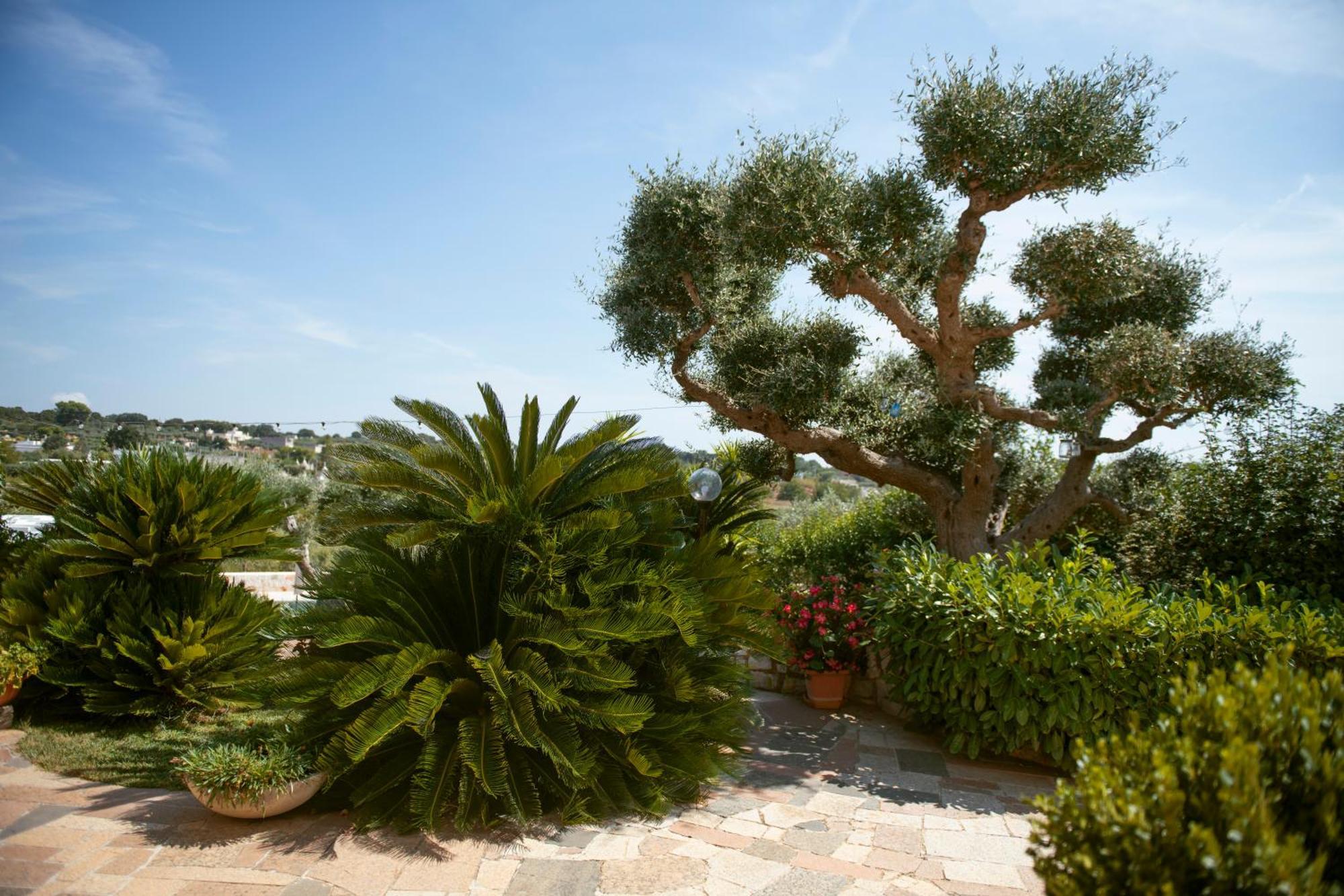 לוקורוטונדו Holiday Home Cosimo מראה חיצוני תמונה